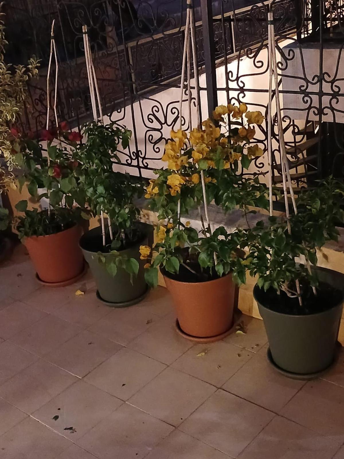 Riad Dantella Marrakesh Exterior photo